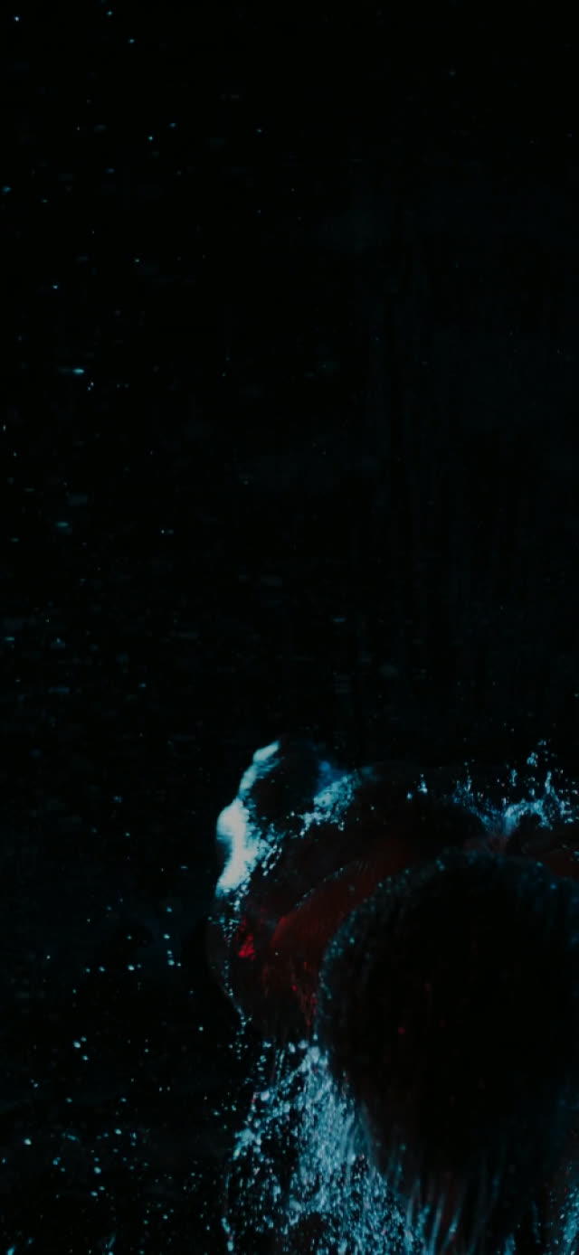 Symbiocene Mythologica — still 1