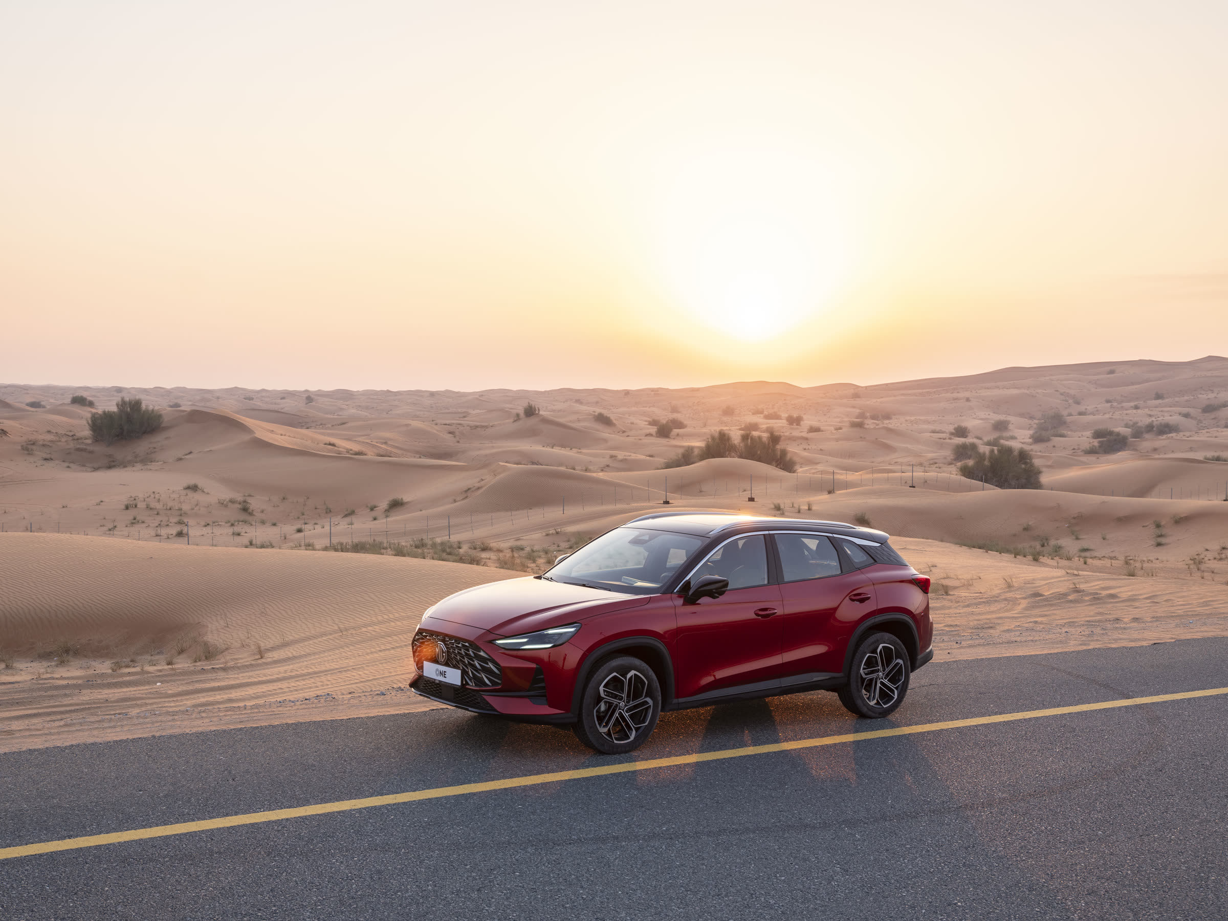 MG — Desert Field Study